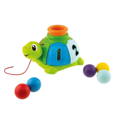 צב הפתעה Turtle Sort and Surprise מבית צ'יקו