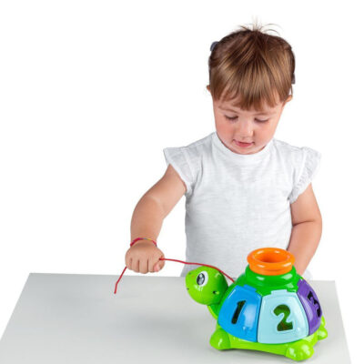 צב הפתעה Turtle Sort and Surprise מבית צ'יקו