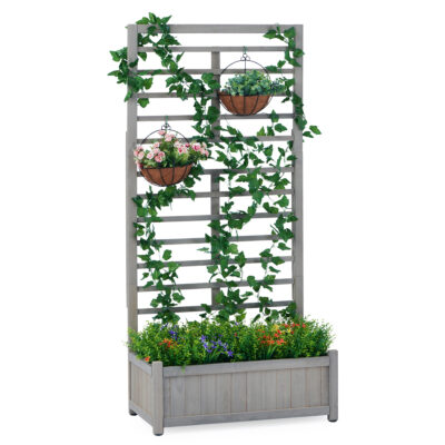 אדנית לצמח מטפס דגם grow מבית Garden Top