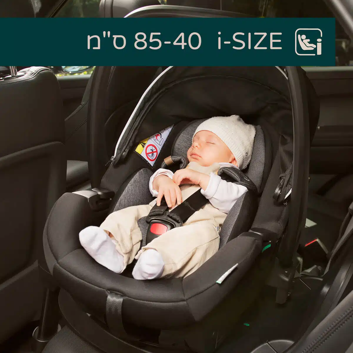 סלקל קורי פלוס - Kory Plus i-SIZE מבית Chicco