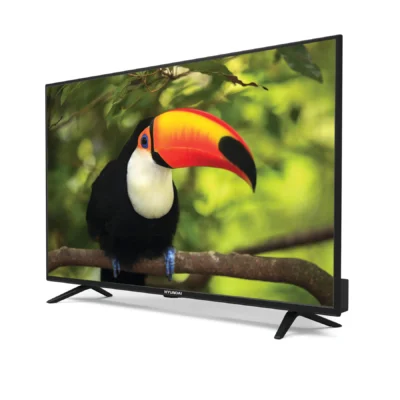 טלוויזיה "55 4K מערכת הפעלה WebOS דגם HATV-55LD400 מבית Hyundai