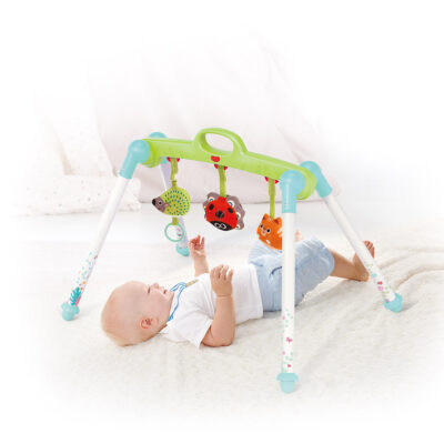 אוניברסיטה לתינוק - Portable Baby Gym מבית Hola Toys