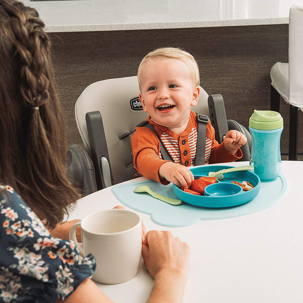 כיסא אוכל פולי - Polly Highchair מבית Chicco