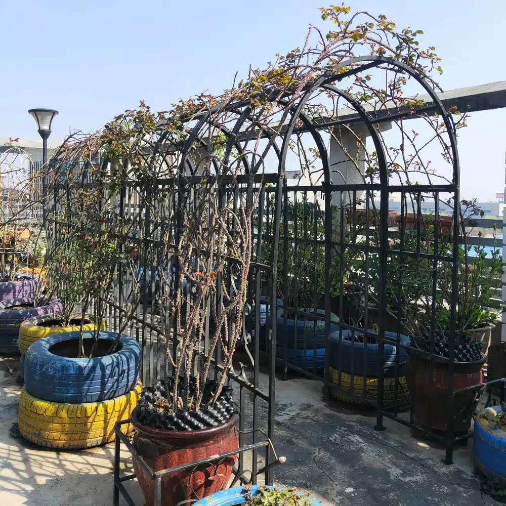 קשת לצמחים מטפסים בגינה – שער כניסה ממתכת ברוחב 114 ס"מ דגם פטל מבית טיפות טבע