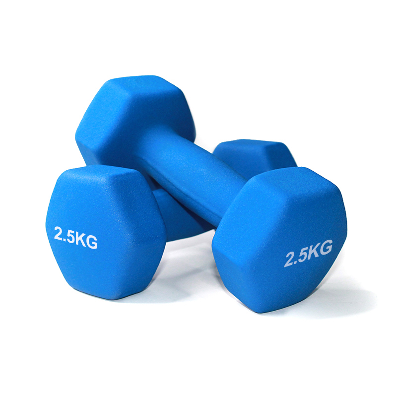 סט משקולות יד במזוודה 2.5, 1.5, 1 ק"ג דגם 54344102 מבית EUROLEAP