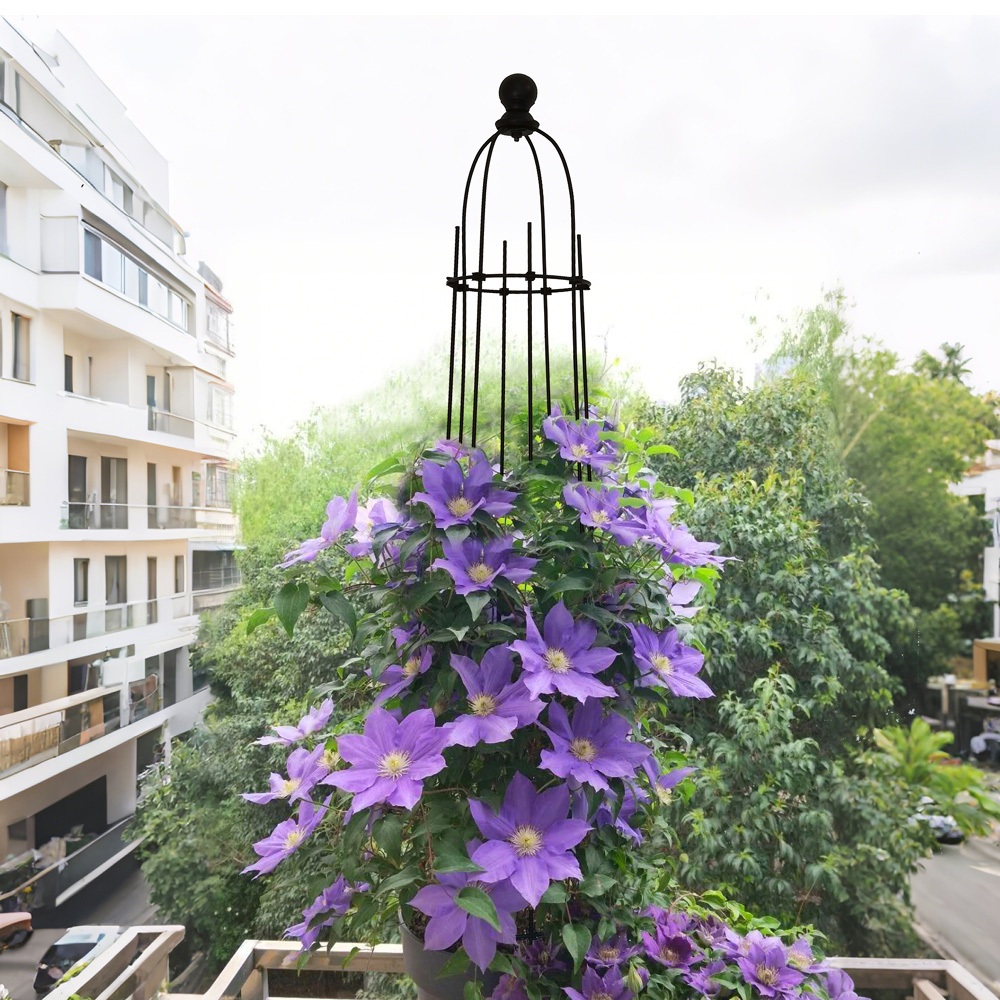 זוג מתקני הדליה לתמיכת צמחים 113 ס״מ דגם 22KD מבית טיפות טבע