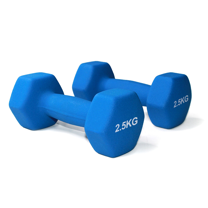 סט משקולות יד במזוודה 2.5, 1.5, 1 ק"ג דגם 54344102 מבית EUROLEAP