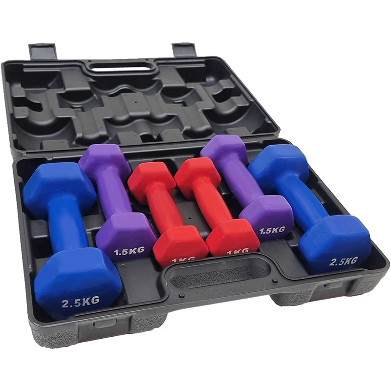 סט משקולות יד במזוודה 2.5, 1.5, 1 ק"ג דגם 54344102 מבית EUROLEAP