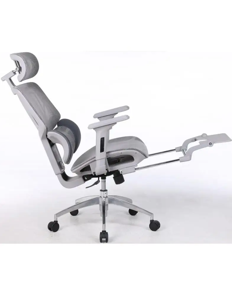 כיסא משרדי אורטופדי ארגונומי דגם Zenith מבית Shuk Rehut