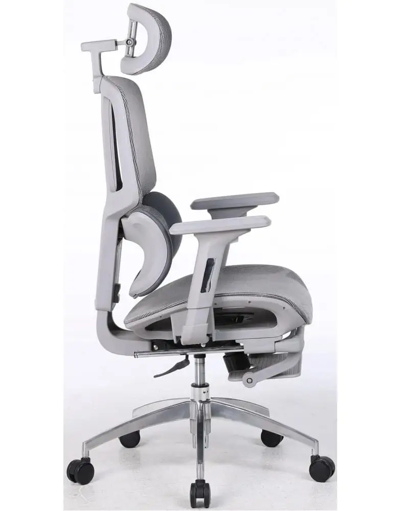כיסא משרדי אורטופדי ארגונומי דגם Zenith מבית Shuk Rehut